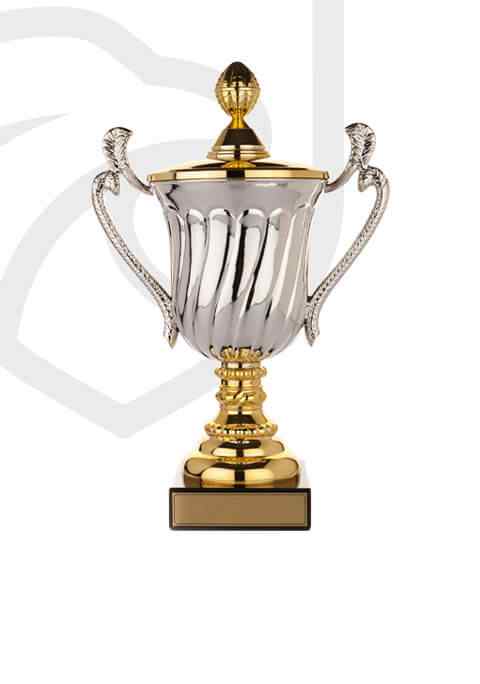 http://www.bowlsguildford.com/wp-content/uploads/2022/11/trophy_overlay_02.jpg